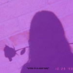 • ɪᴠᴠᴄɪᴅ •