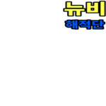 깜찍이 뉴비 해적단이 존재하는 그룹