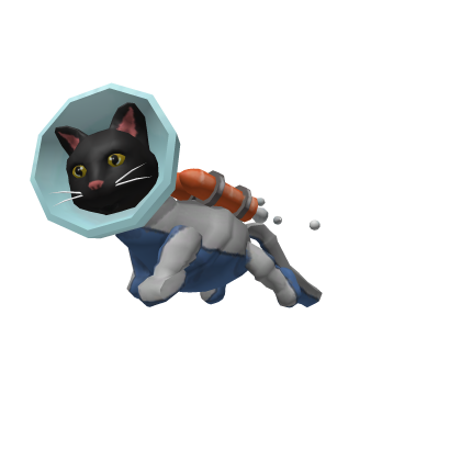 Rocket Cat