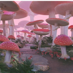Bloomy_family