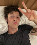 Shawn Mendes and BTS