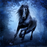 •Stallion Stables•