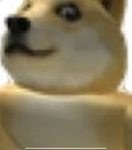 Notdoge2121 Group