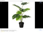 Sprouties org