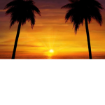 Sunville!