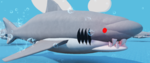 sharkylankybox