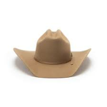 The Texan Men