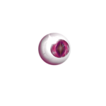 Ist_robloxmax