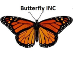 ButterFly INC