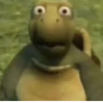 IDK TURTLE