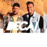 Decai273