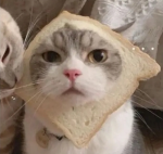 A C E R M 3 N