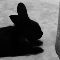 ୨୧