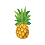 Ananasy Ananas3k
