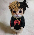 Xxxtencions fan group
