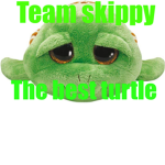 #TURTLE GANG FOREVER