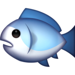 The Order of the Fish