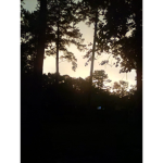 •∆•