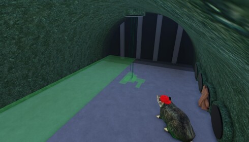Rat Sewer