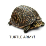 The Great Turtle Army!!!!!!!!!!!!!!!!!!!!
