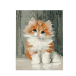 Cheerful cat