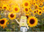 Sunflowers forever!