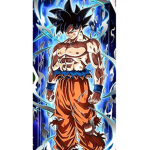 Super Saiyans Gods!