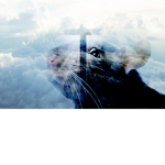 Heavenly Rats