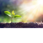 Plants For Life