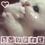 bugpet