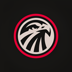 Falcon Entertainment Group