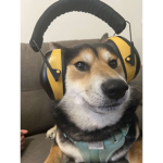 Pls join my group group