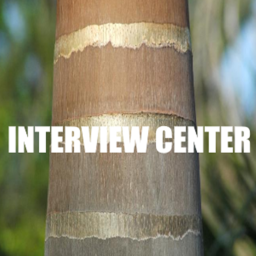 PalmTree Clothing | Interview Center!