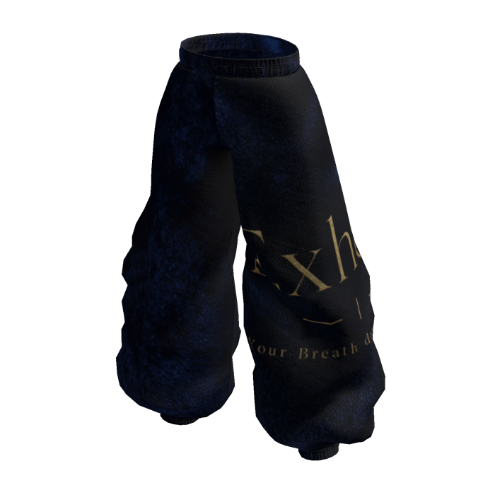 Pants Dark Blue AR 