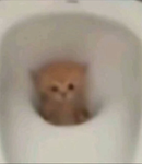 Łüx_:D