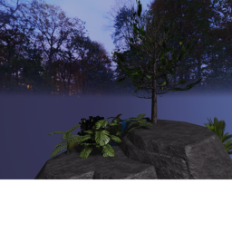 A Peaceful Time Alone
