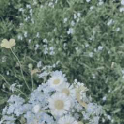♡