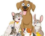 Pet lover group !