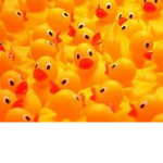 XxDuckSquad
