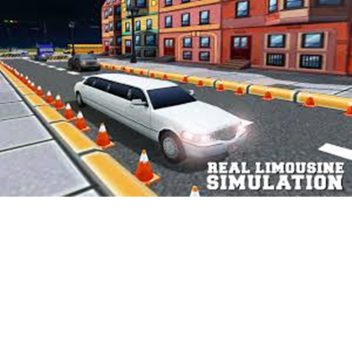 Limousine Simulator