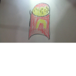 Ry_The_Fry_Army