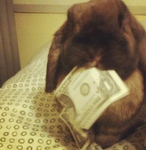 spoiledbrat’