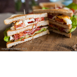 sandwich land