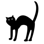 black cat army
