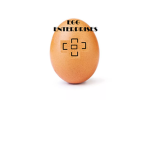 Egg Enterprises