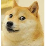 The Doge awesome empire