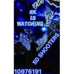 THE SD’S