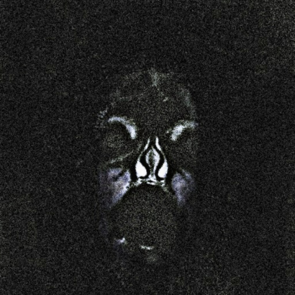 Scary face Roblox decal