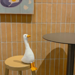 The Duck Is watching you