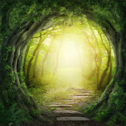 Escape the forest....